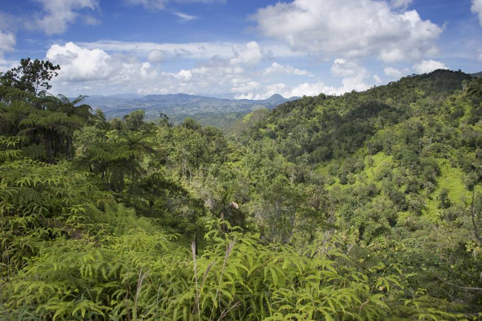 parques nacionales que hacen grandiosa a República Dominicana