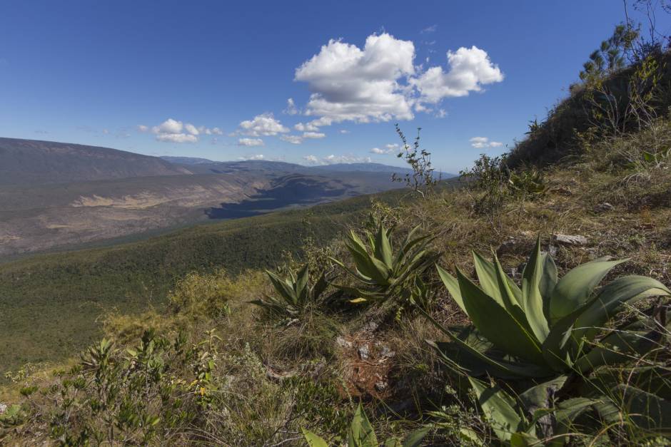 Pedro Genaro: el lente de nuestros parques naturales dominicanos